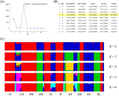 Conservation genomic study of Hopea hainanensis (Dipterocarpaceae), an endangered tree with extremely small populations on Hainan Island, China